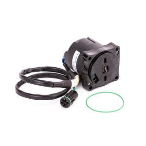 Sierra Tilt/Trim Motor. Honda