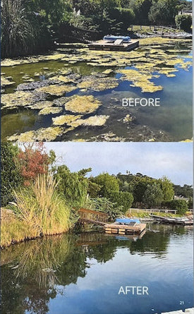 Kasco Aquaticlear, Circulator, 1/2hk