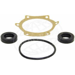 Orbitrade Gasket set sea water pump