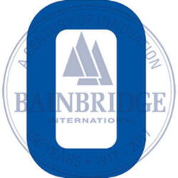 Bainbridge Sail Numbers 300mm Blue 0