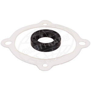 Orbitrade Gasket set sea water pump